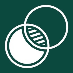 Paces logo