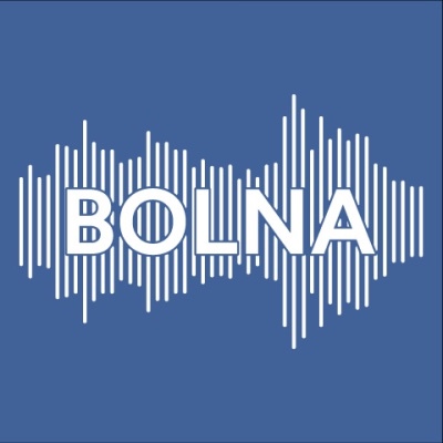 Bolna AI